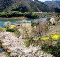 花の広場