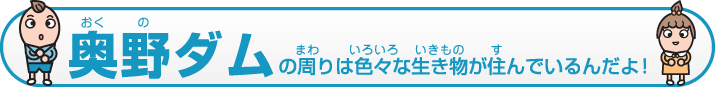 奥野ダムの周りには色々な生き物が住んでいるんだよ！
